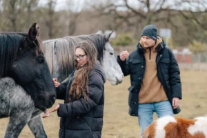 teambuilding na farme mracov v roce 2025